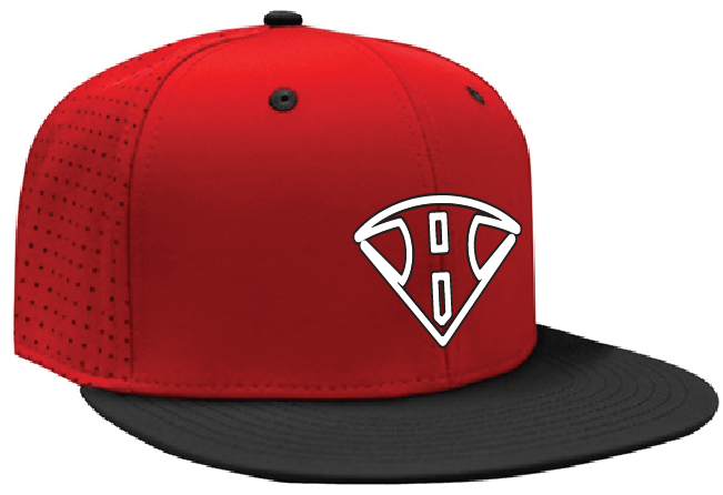 Capital City Hustle Performance Hat