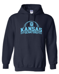 Senators Baseball Heavy Weight Hooded Sweatshirt