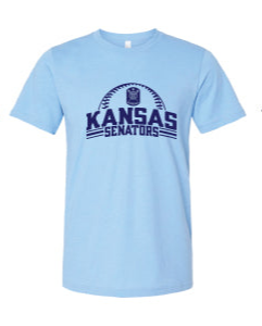 Senators Baseball Bella+Canvas Unisex Tee